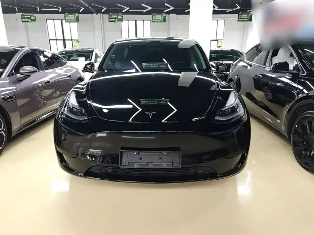 Tesla Model Y — фото 5