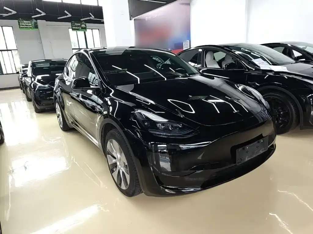 Tesla Model Y — фото 7