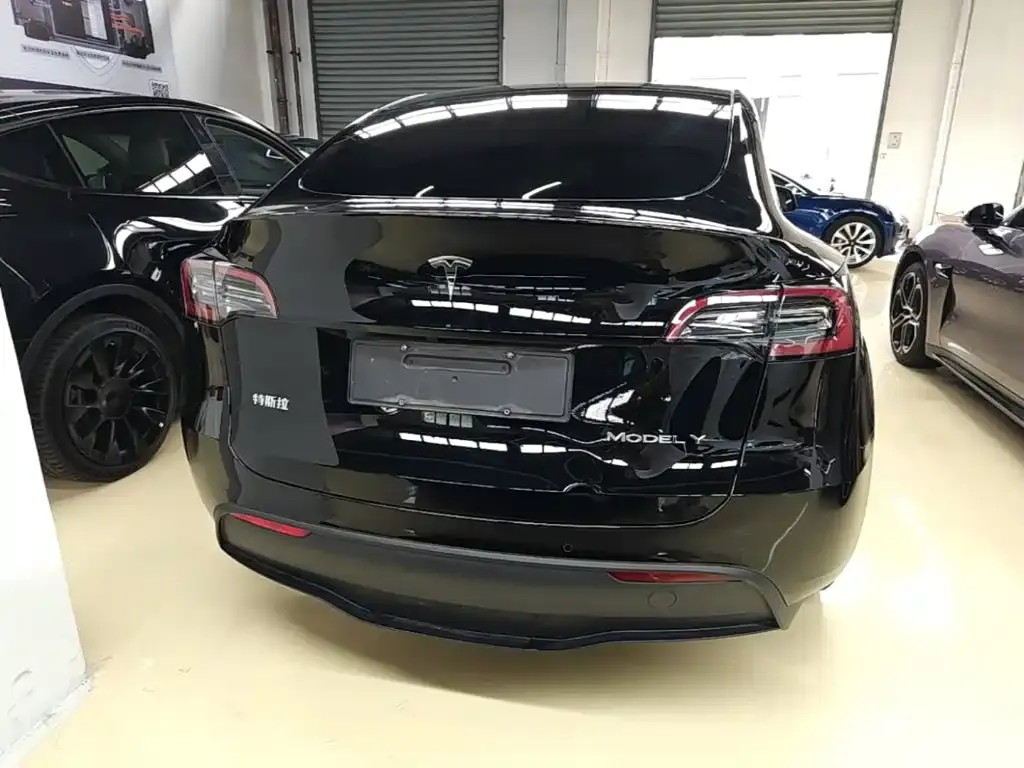 Tesla Model Y — фото 8