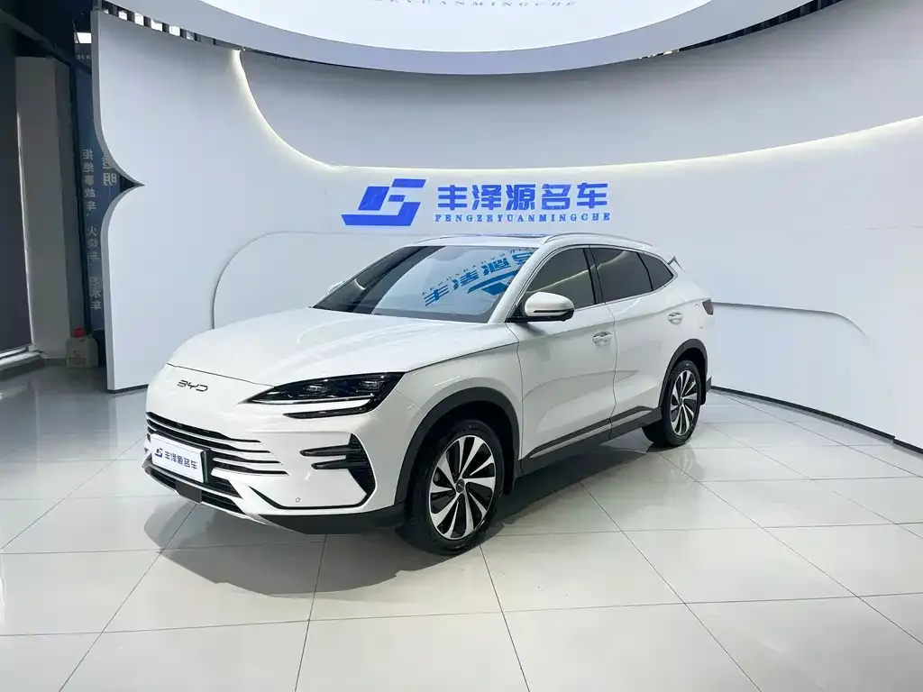 BYD PLUS New Energy — фото 1