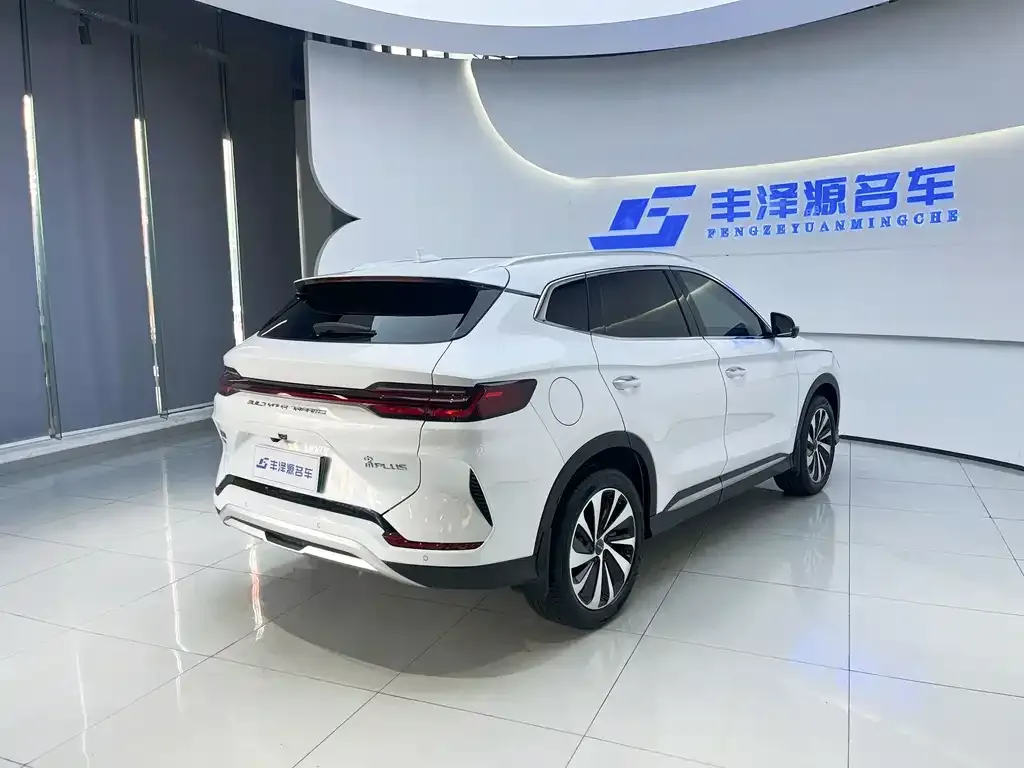 BYD PLUS New Energy — фото 5