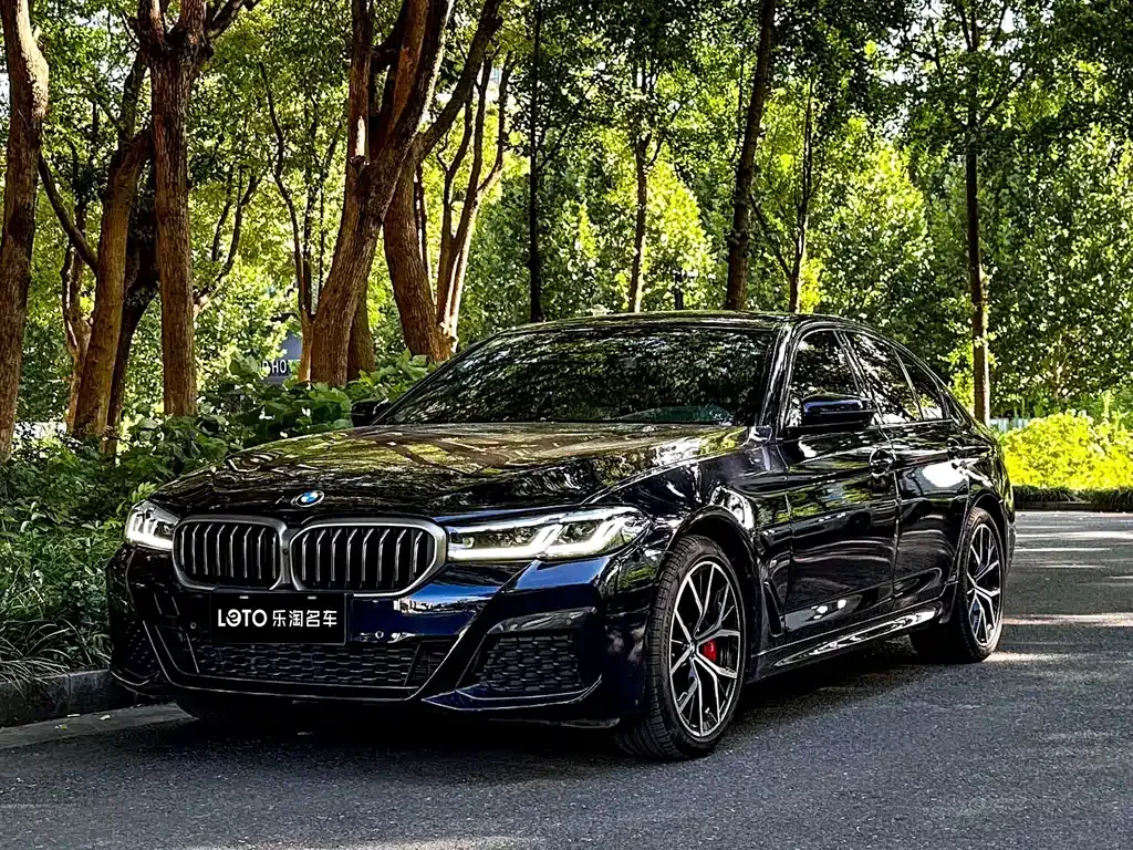 BMW 5 Series (Import) — фото 1