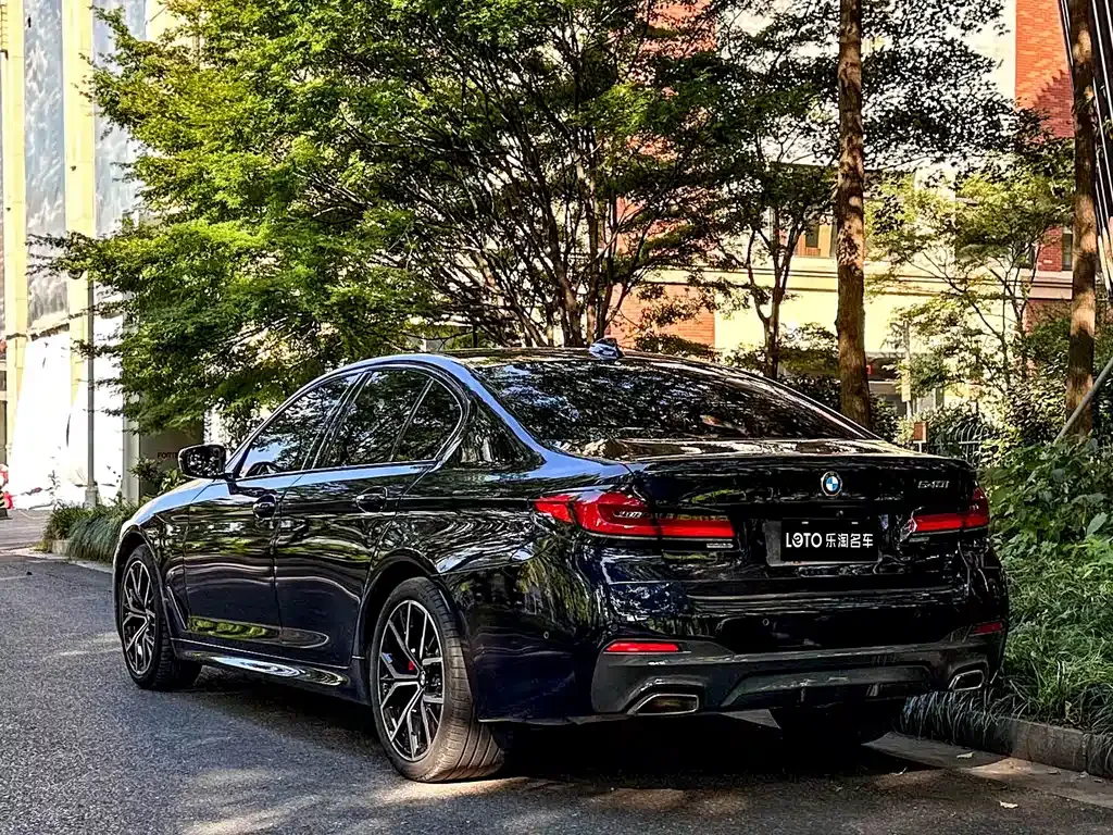 BMW 5 Series (Import) — фото 6