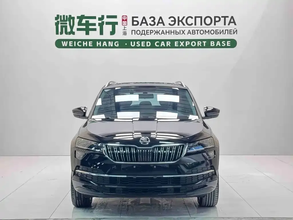 Skoda Karoq — фото 7