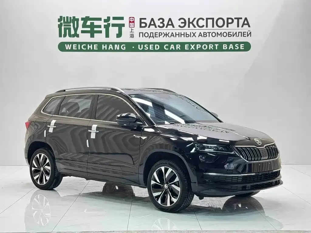 Skoda Karoq — фото 6