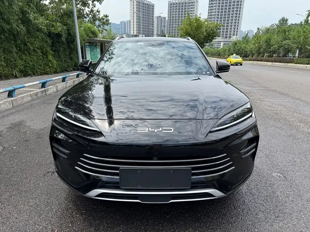 BYD PLUS New Energy 2024 из CN, фото 8