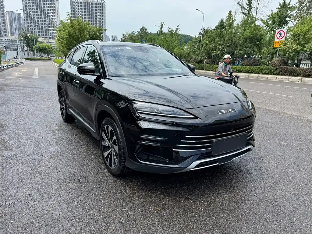 BYD PLUS New Energy 2024 из CN, фото 9