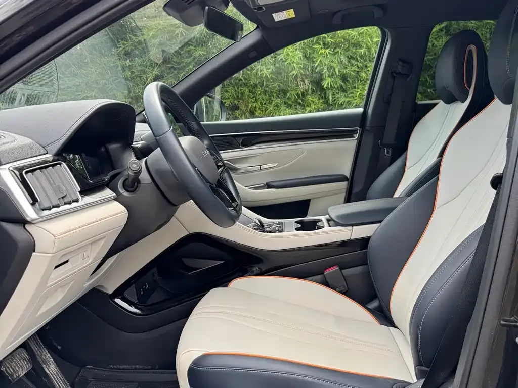 BYD PLUS New Energy 2024 из CN, фото 5
