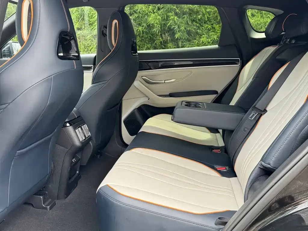 BYD PLUS New Energy 2024 из CN, фото 4