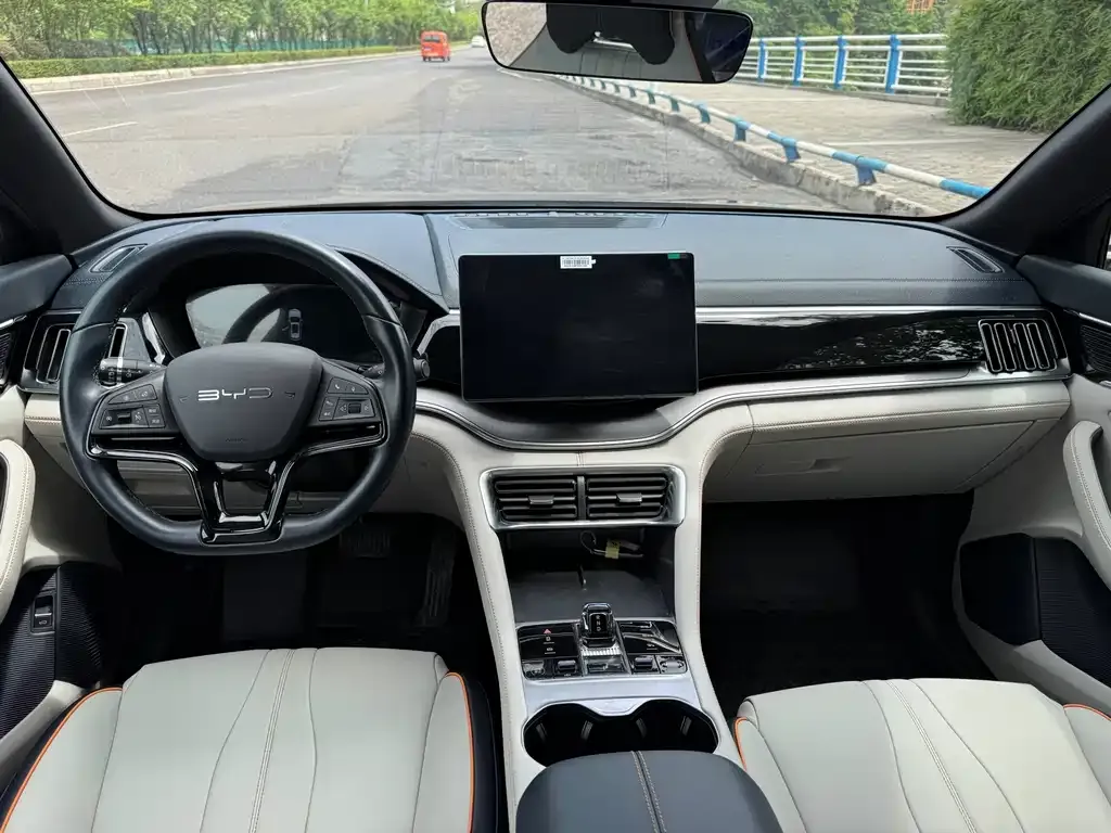 BYD PLUS New Energy 2024 из CN, фото 2