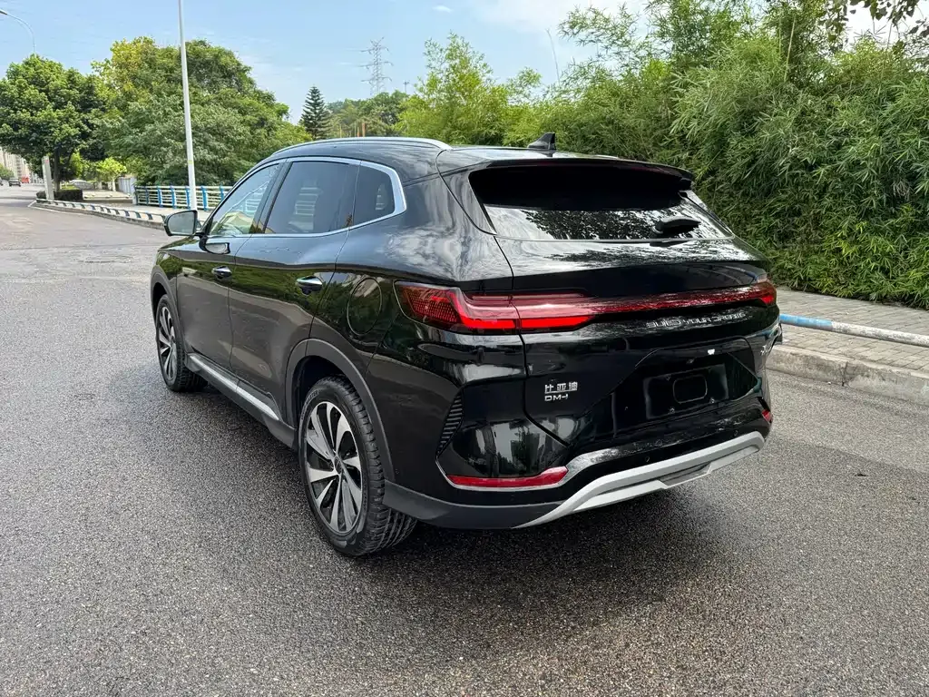 BYD PLUS New Energy 2024 из CN, фото 10