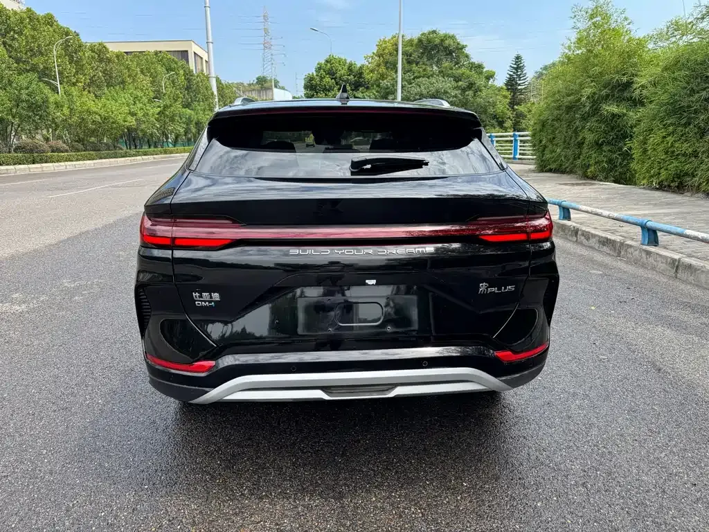 BYD PLUS New Energy 2024 из CN, фото 6