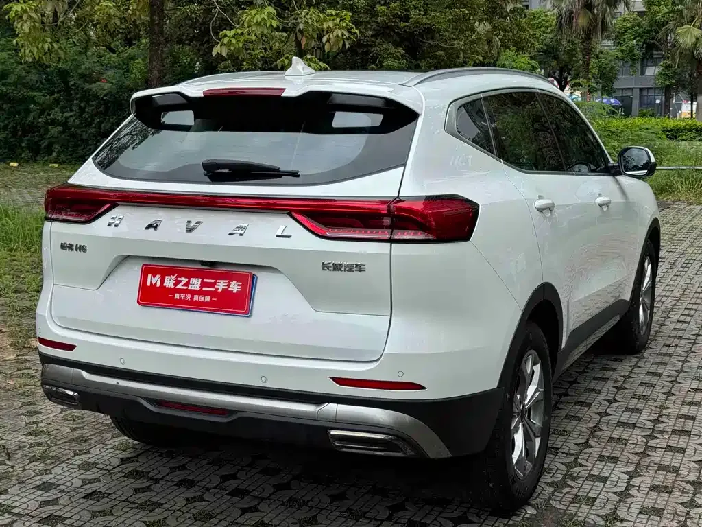 Haval H6 — фото 8