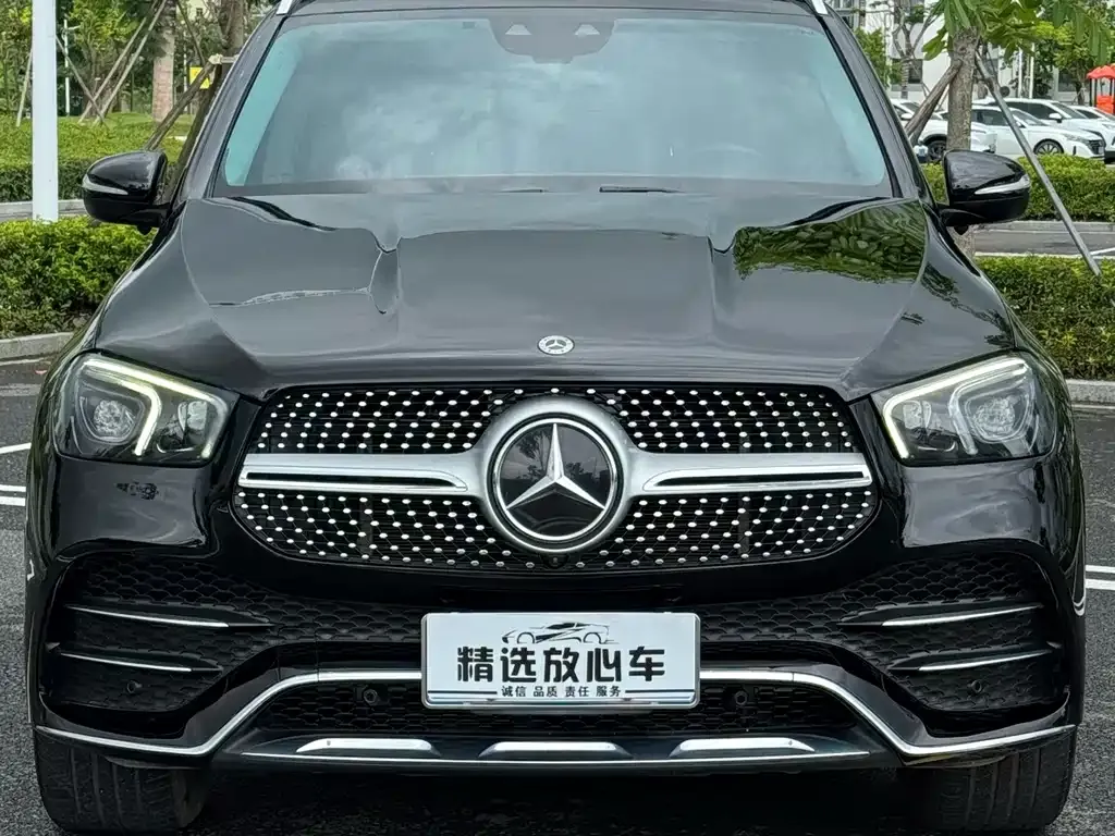 Mercedes-Benz 奔驰GLE(进口) — фото 6