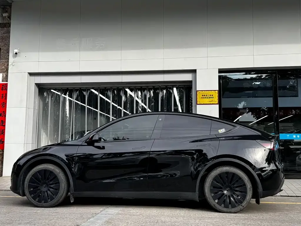 Tesla Model Y — фото 2