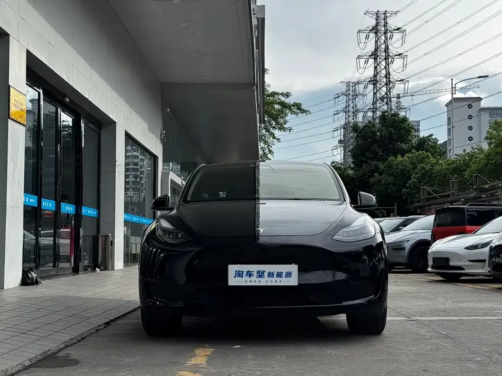 Tesla Model Y — фото 6