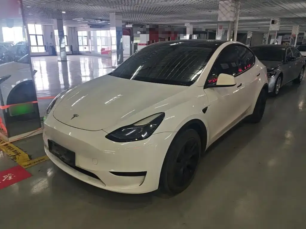 Tesla Model Y — фото 1