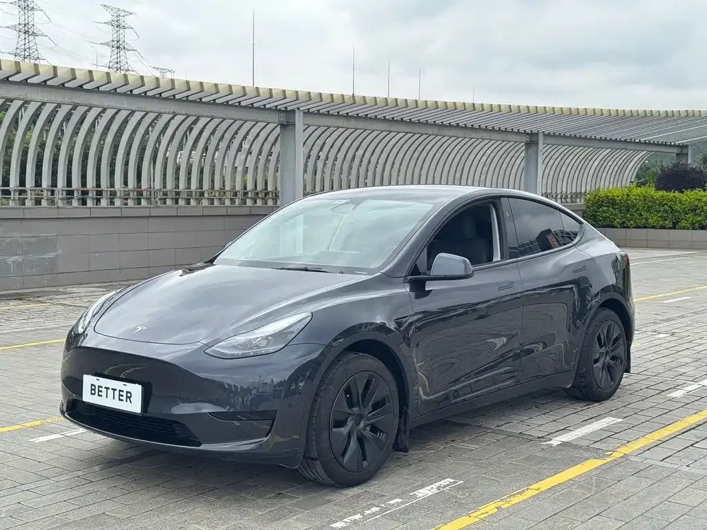 Tesla Model Y — фото 1