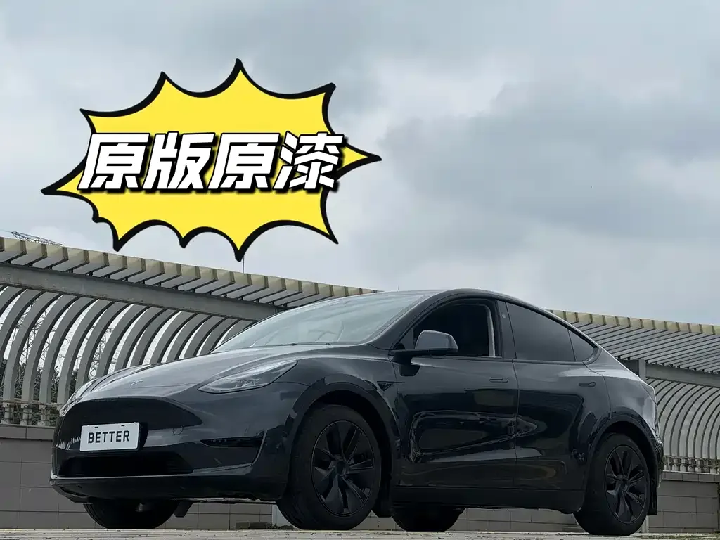 Tesla Model Y — фото 10
