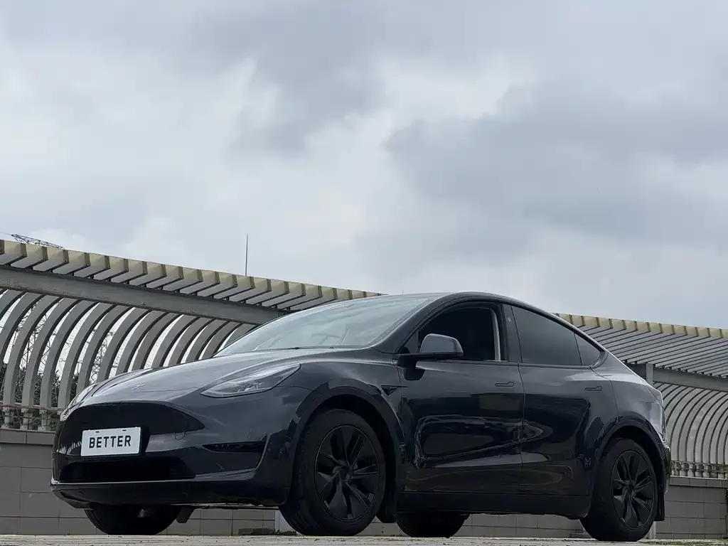 Tesla Model Y — фото 4