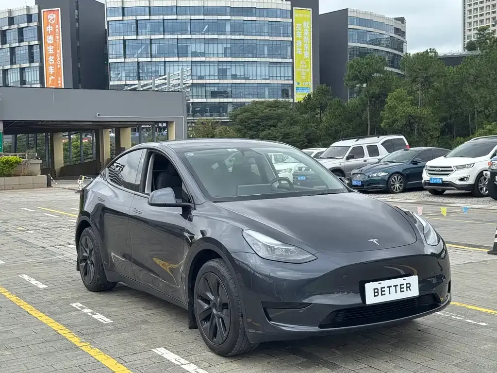 Tesla Model Y — фото 8