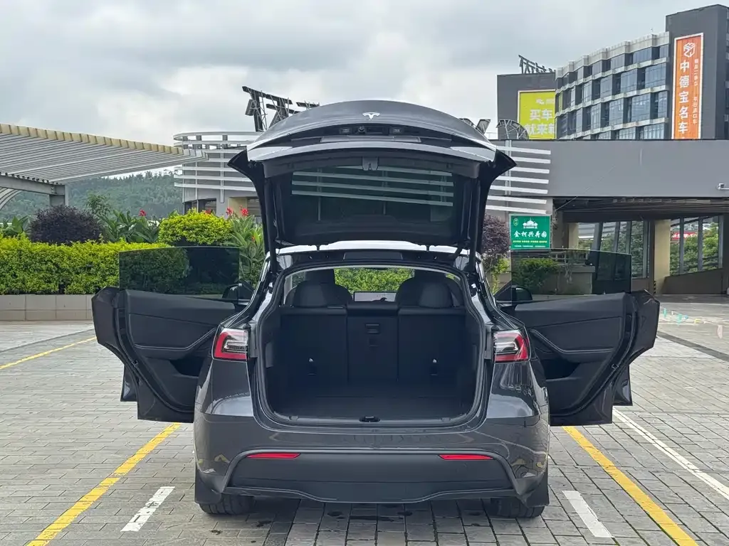 Tesla Model Y — фото 6