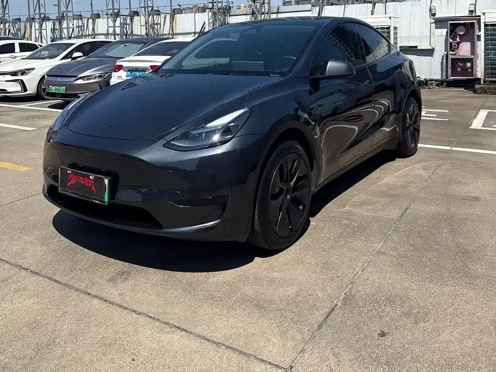 Tesla Model Y — фото 1