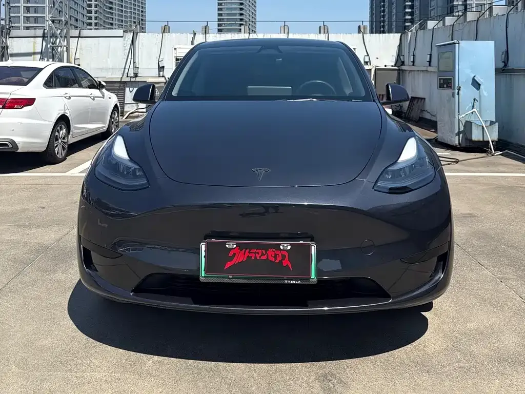 Tesla Model Y — фото 3