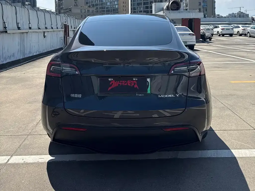 Tesla Model Y — фото 4