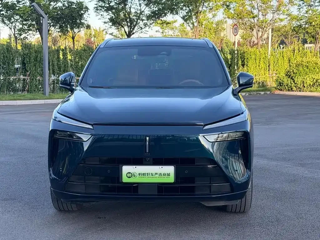 Wey Lanshan 2024 из CN, фото 10