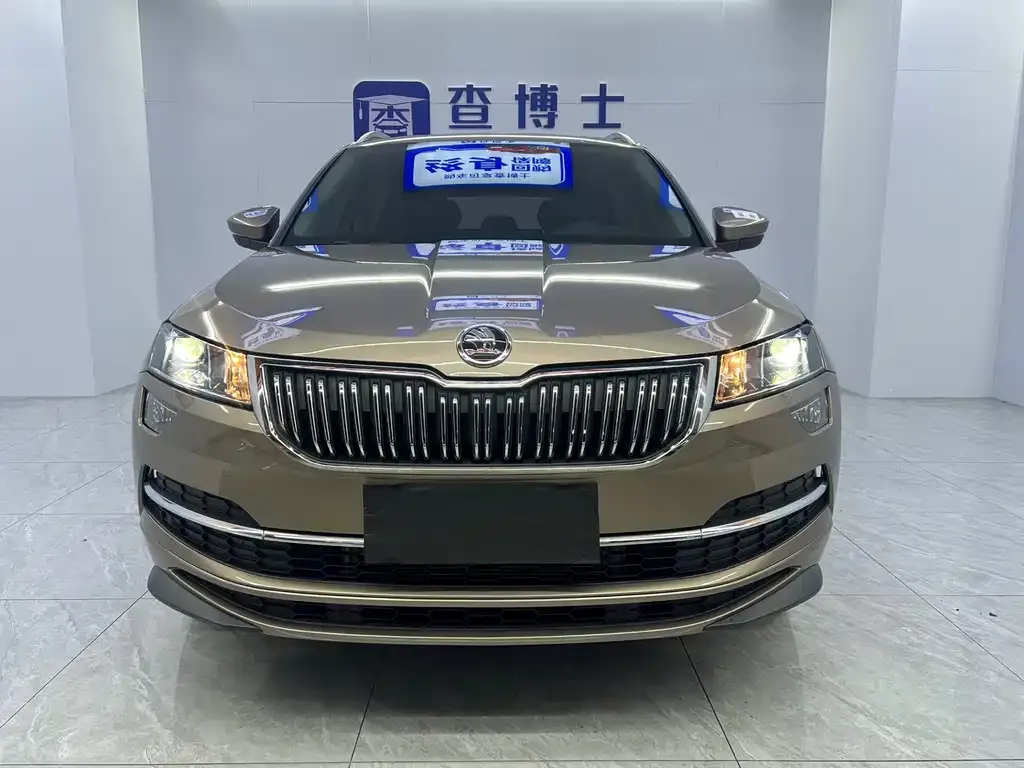 Skoda Karoq — фото 6