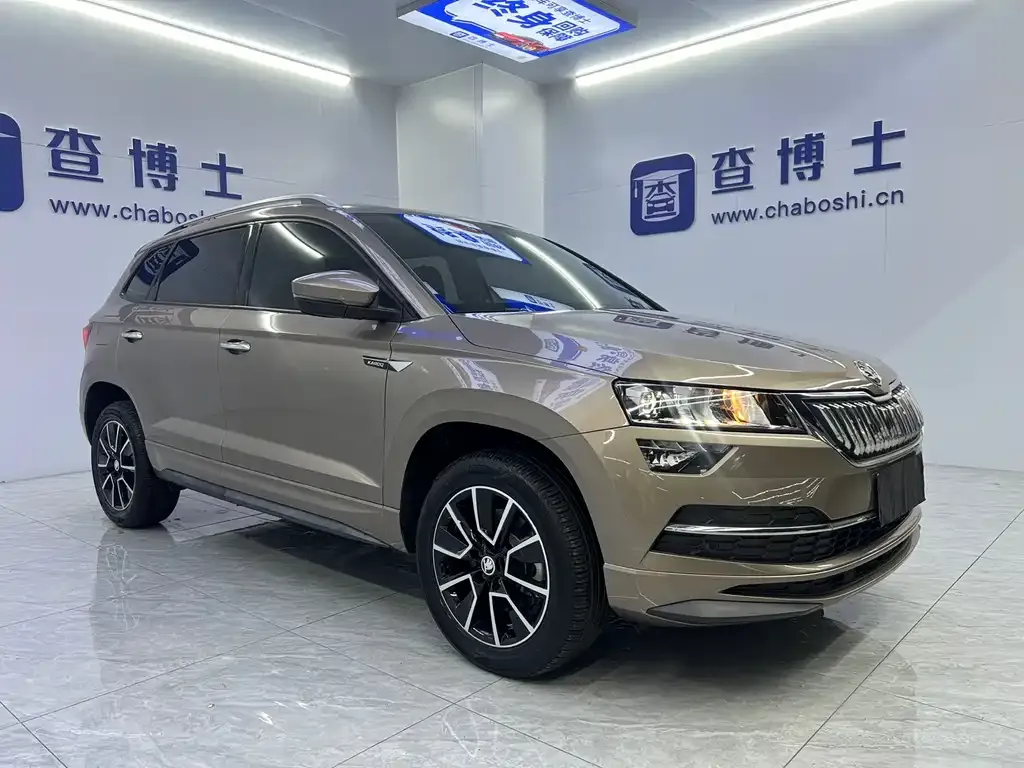 Skoda Karoq — фото 7