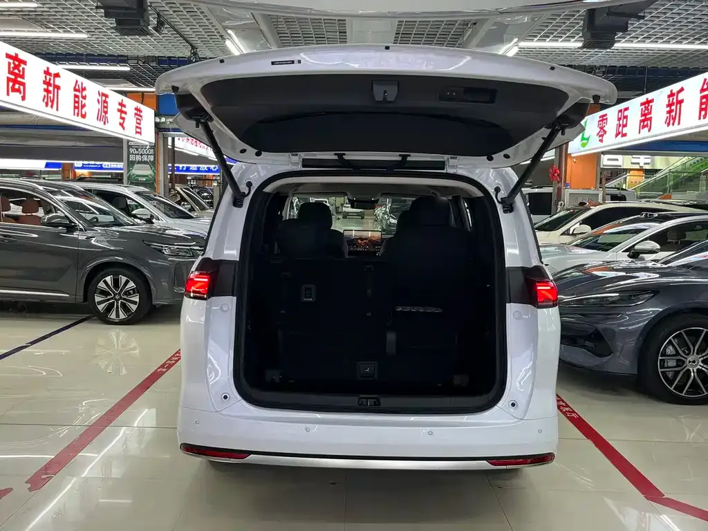 BYD M9 — фото 10