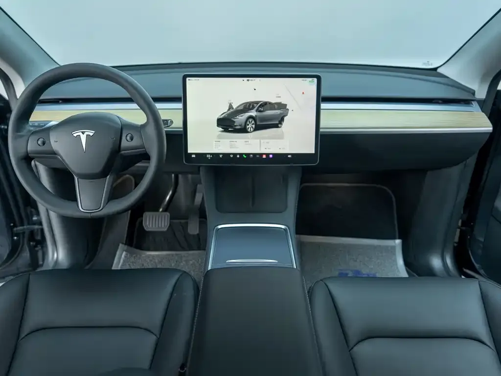 Tesla Model Y — фото 2