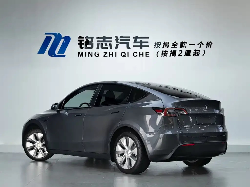 Tesla Model Y — фото 10