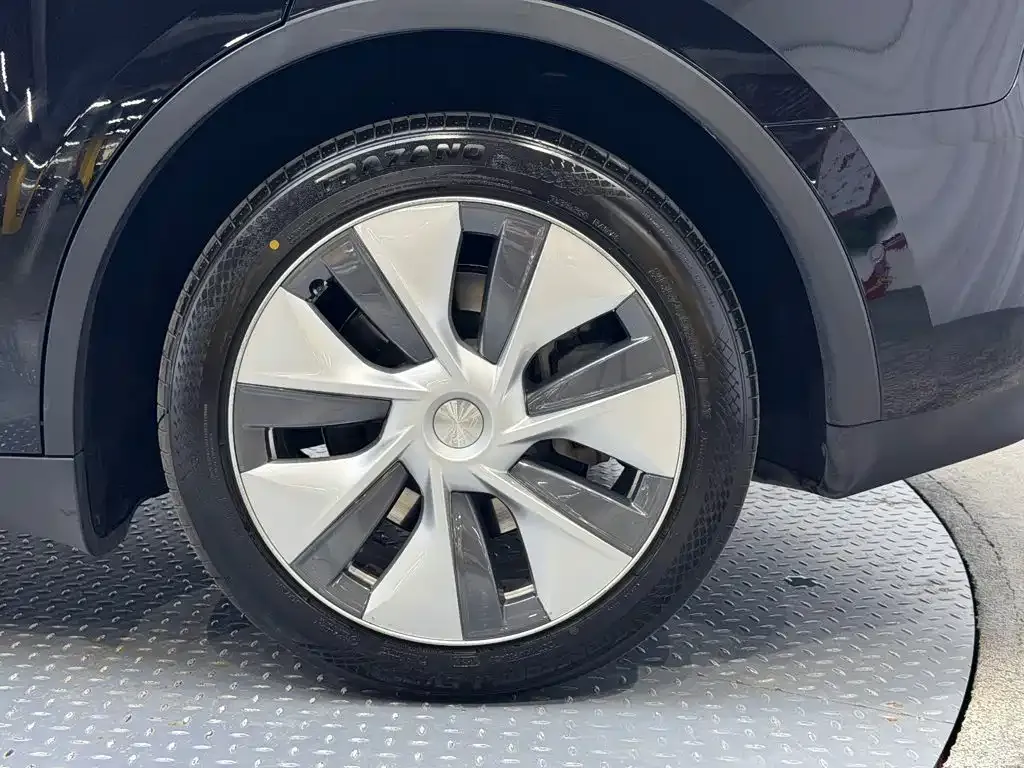 Tesla Model Y — фото 5
