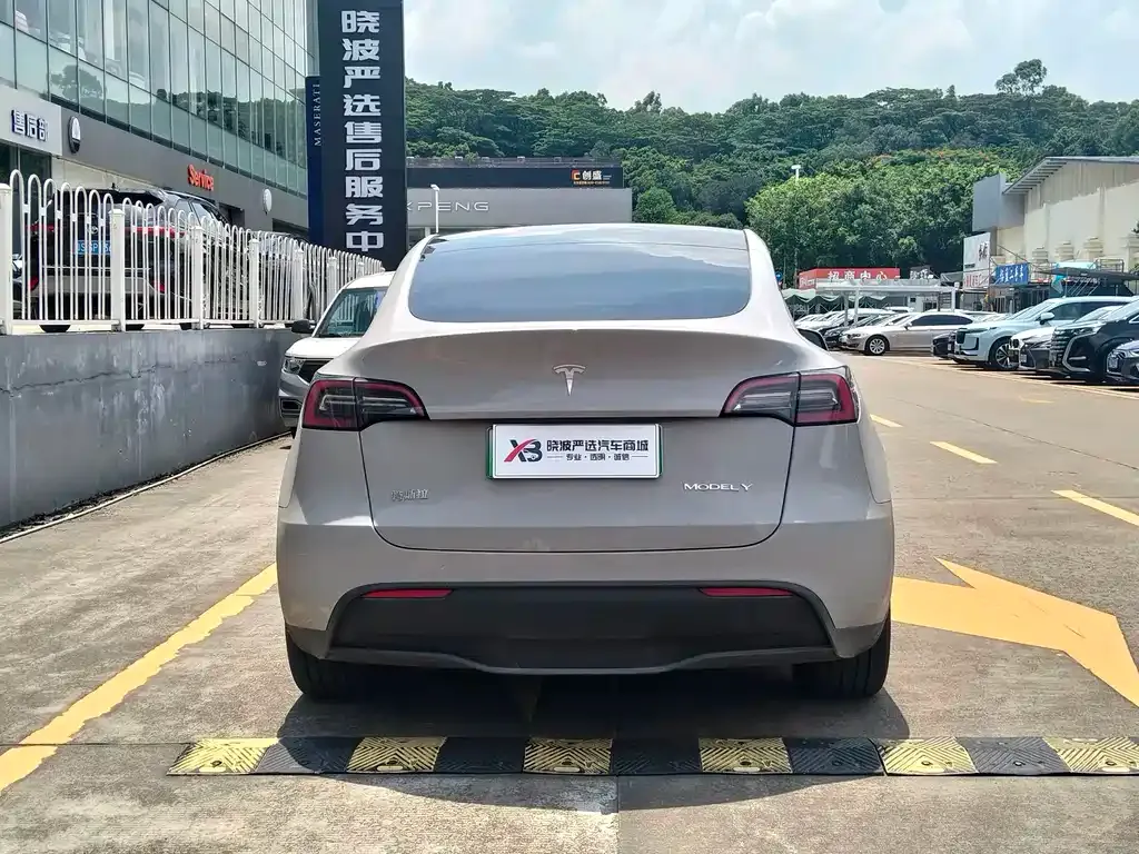 Tesla Model Y — фото 10