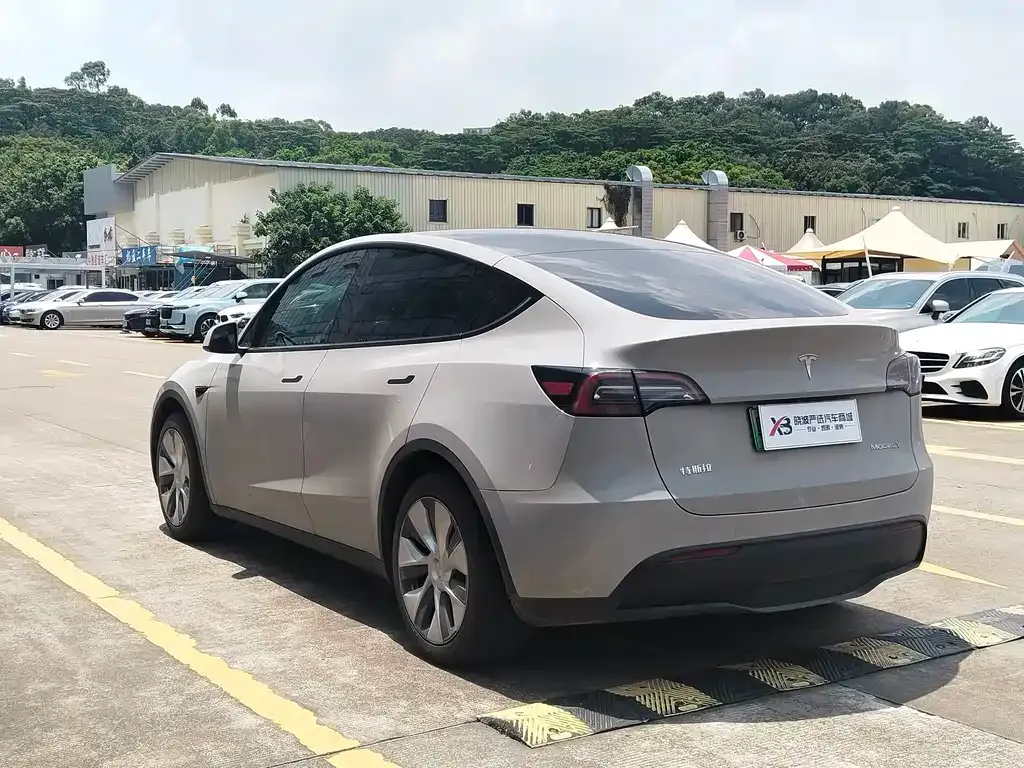 Tesla Model Y — фото 9