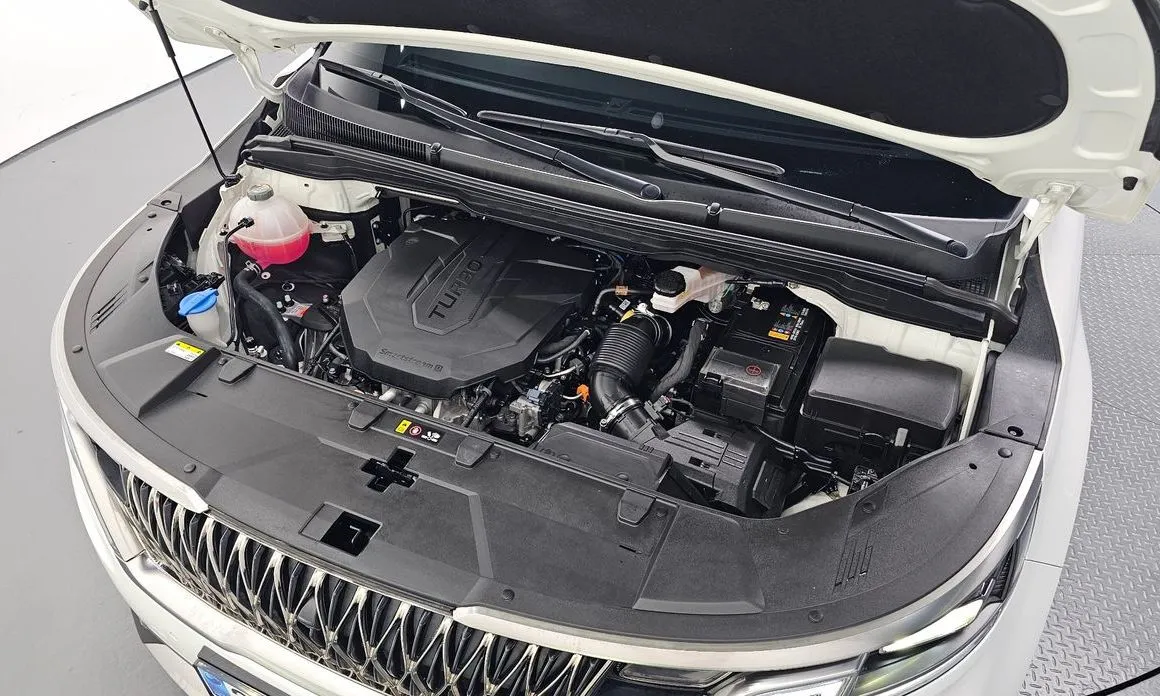Kia Carnival — фото 10