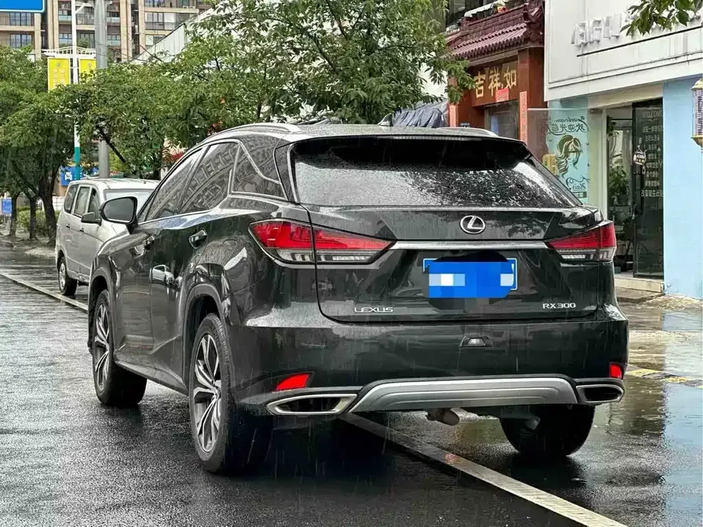 Lexus RX — фото 4