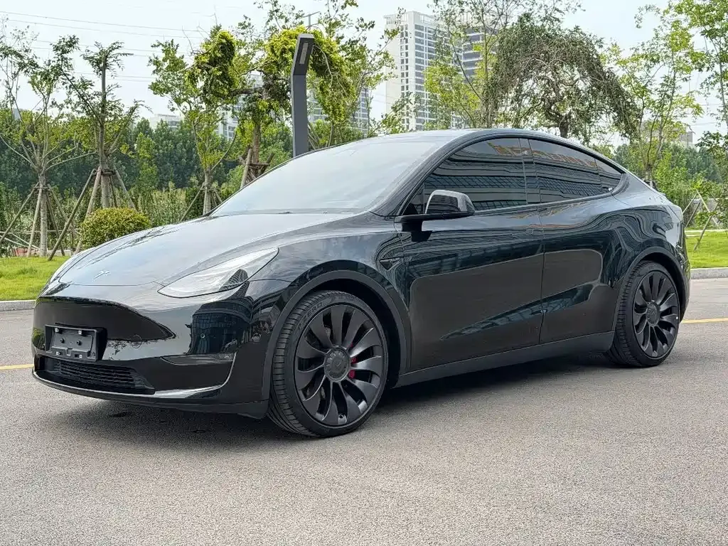Tesla Model Y — фото 1