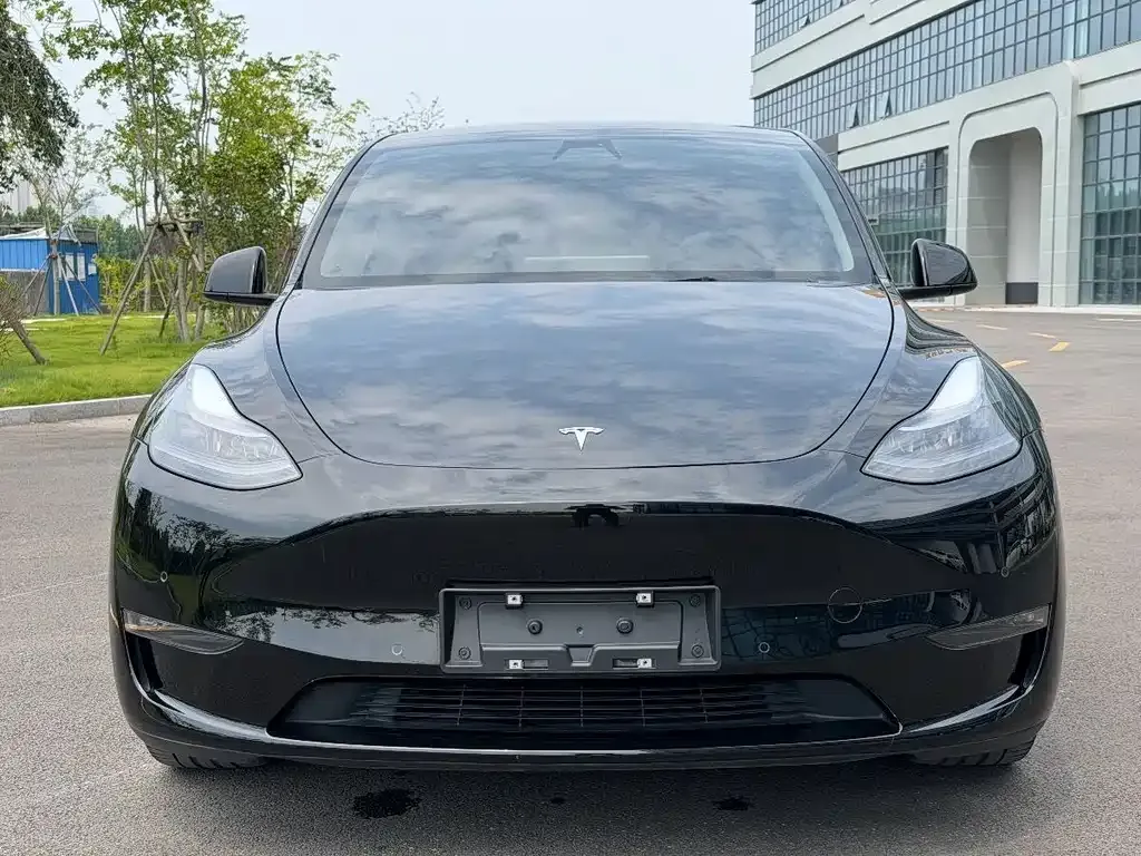 Tesla Model Y — фото 2