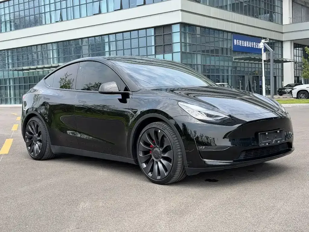Tesla Model Y — фото 10