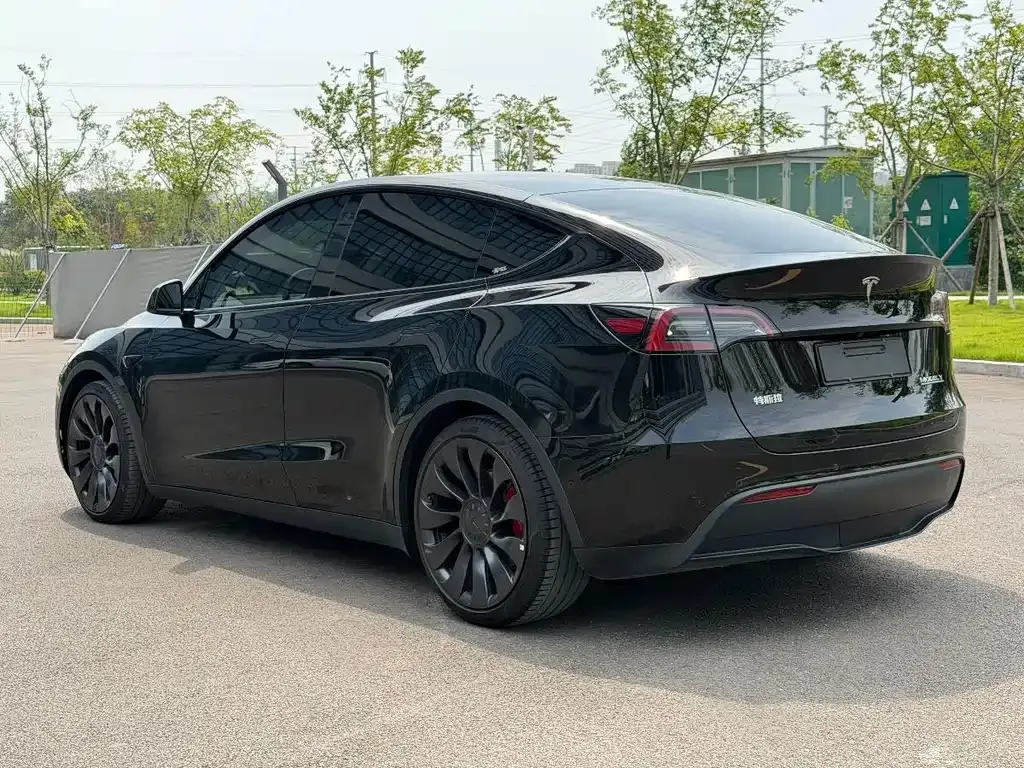 Tesla Model Y — фото 9