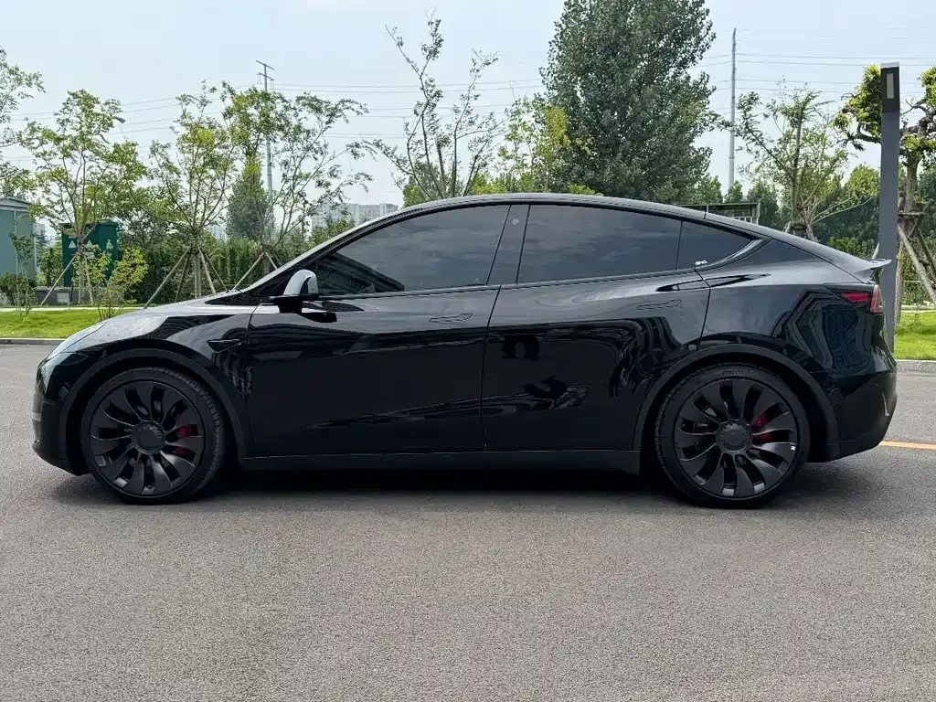 Tesla Model Y — фото 8
