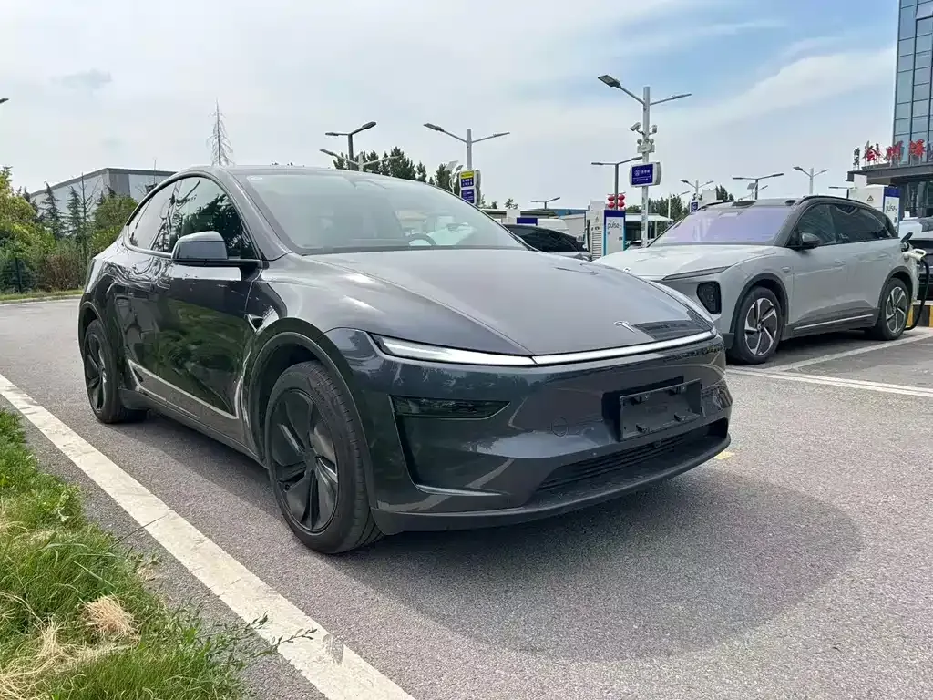 Tesla Model Y — фото 7