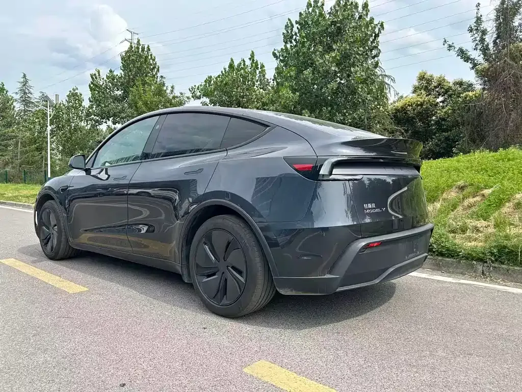 Tesla Model Y — фото 5