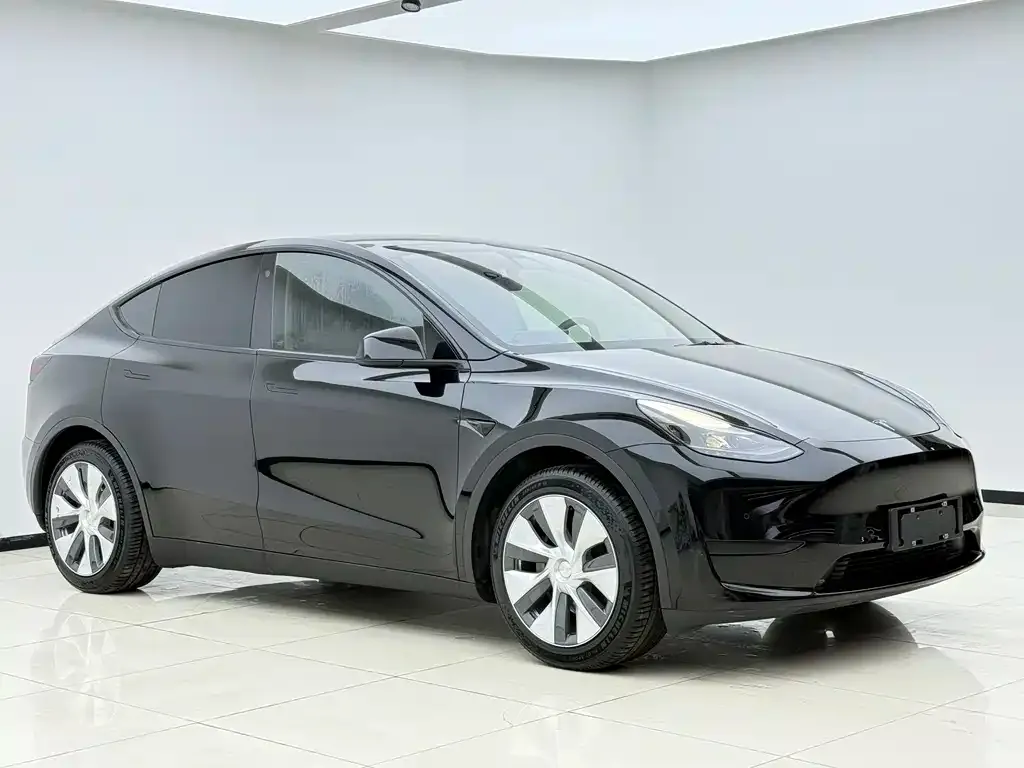 Tesla Model Y — фото 5