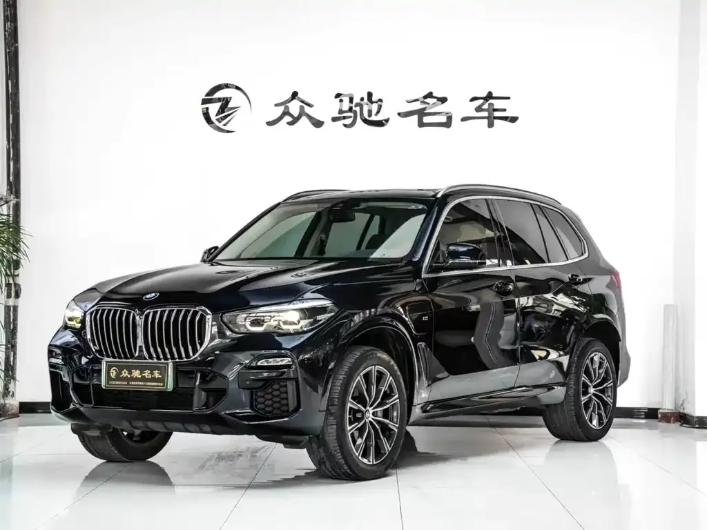BMW X5 New Energy (Import) — фото 1