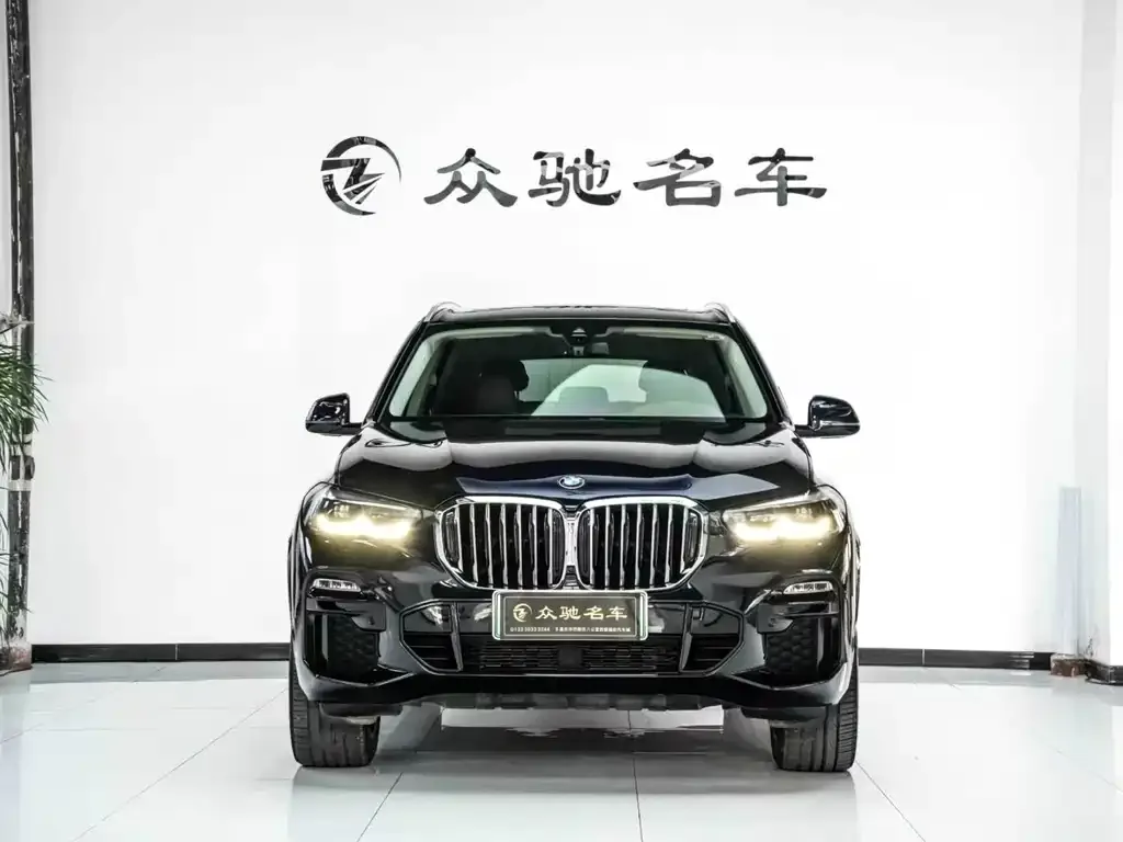 BMW X5 New Energy (Import) — фото 7